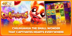 Chilihuahua - The Small Wonder That Captivates Hearts Everywhere